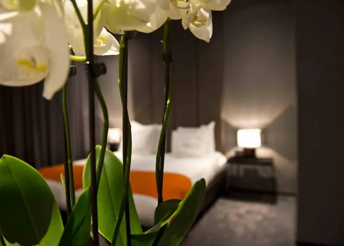 Design Glow فندق 3*